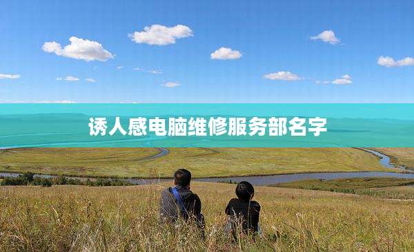 诱人感电脑维修服务部名字