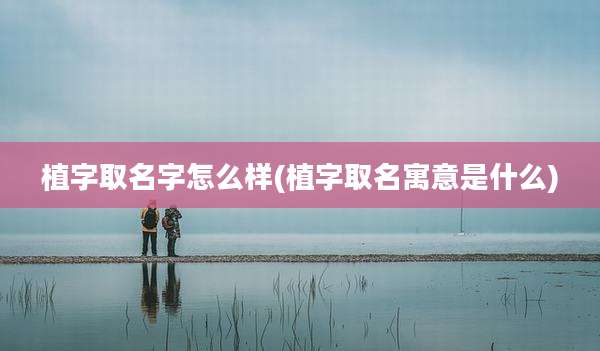 植字取名字怎么样(植字取名寓意是什么)