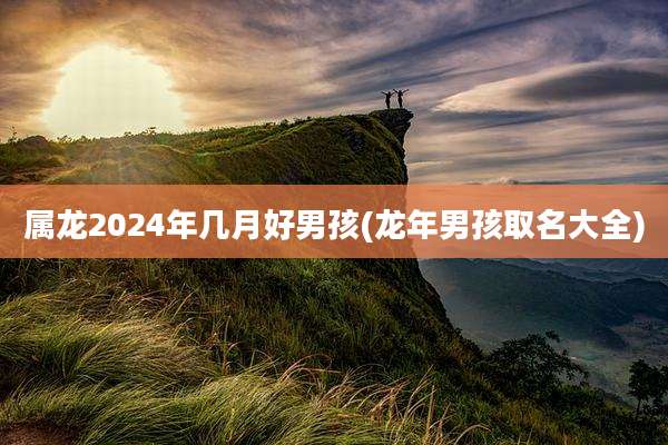 属龙2024年几月好男孩(龙年男孩取名大全)