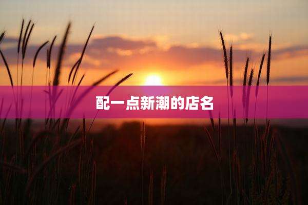 配一点新潮的店名