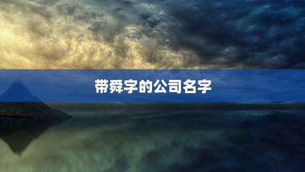 带舜字的公司名字