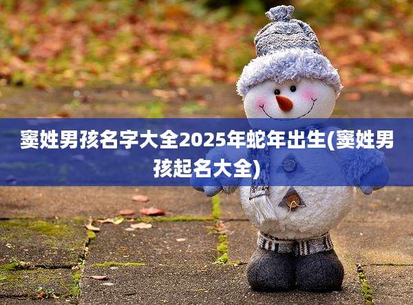 窦姓男孩名字大全2025年蛇年出生(窦姓男孩起名大全)