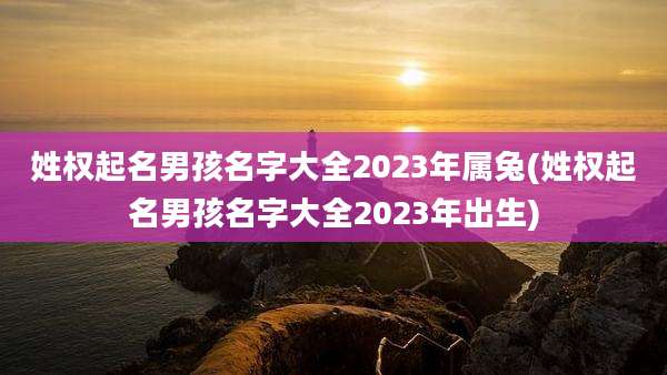 姓权起名男孩名字大全2023年属兔(姓权起名男孩名字大全2023年出生)