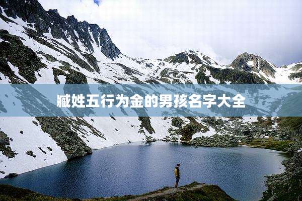 臧姓五行为金的男孩名字大全