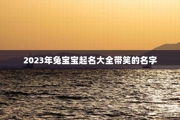 2023年兔宝宝起名大全带笑的名字