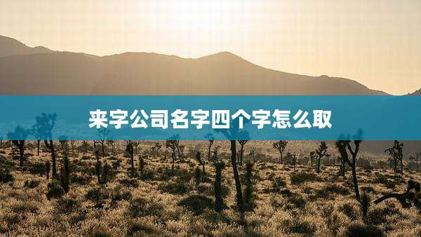 来字公司名字四个字怎么取