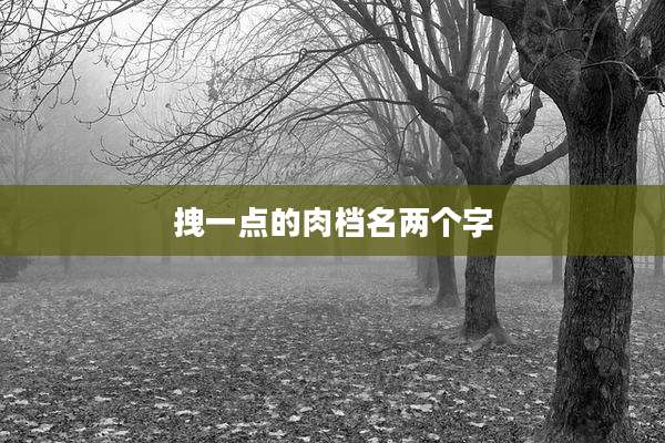 拽一点的肉档名两个字