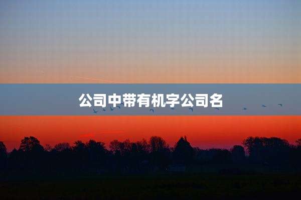 公司中带有机字公司名