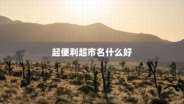 起便利超市名什么好