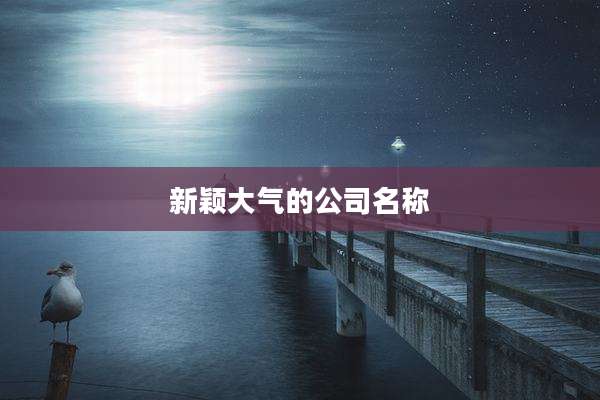 新颖大气的公司名称