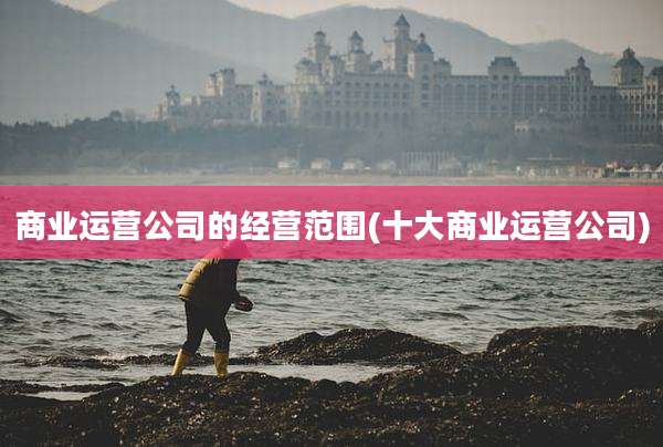 商业运营公司的经营范围(十大商业运营公司)
