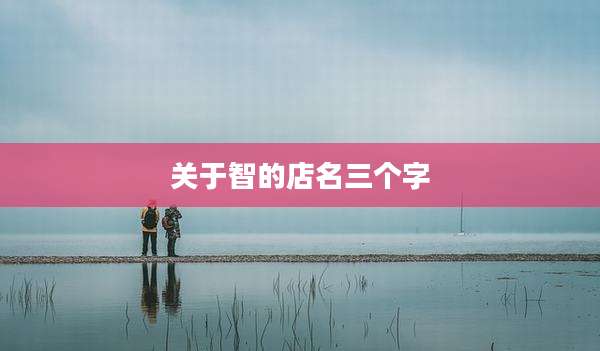 关于智的店名三个字