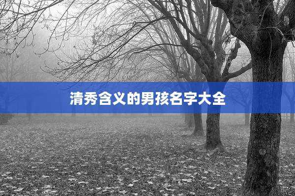 清秀含义的男孩名字大全