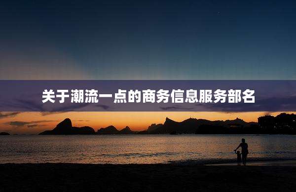 关于潮流一点的商务信息服务部名