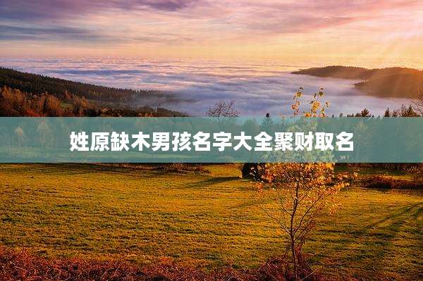 姓原缺木男孩名字大全聚财取名