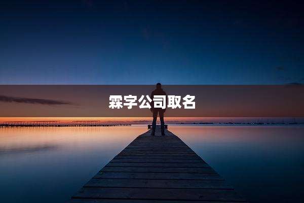 霖字公司取名