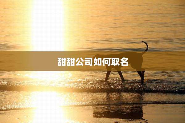 甜甜公司如何取名