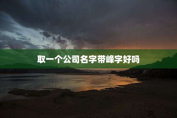 取一个公司名字带峰字好吗