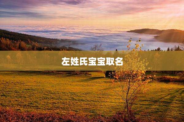 左姓氏宝宝取名