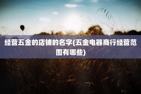 经营五金的店铺的名字(五金电器商行经营范围有哪些)