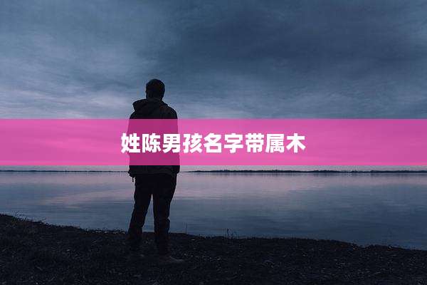 姓陈男孩名字带属木