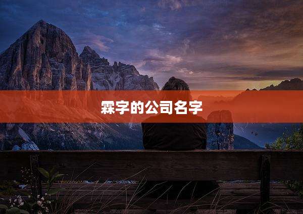 霖字的公司名字
