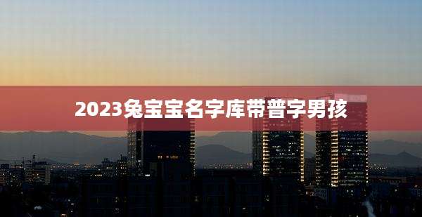 2023兔宝宝名字库带普字男孩