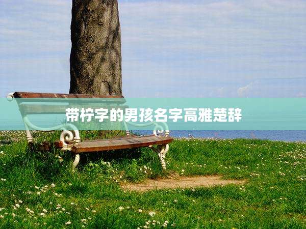 带柠字的男孩名字高雅楚辞