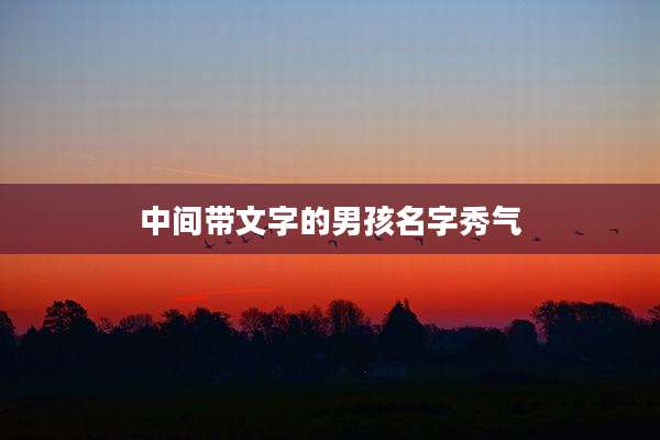 中间带文字的男孩名字秀气