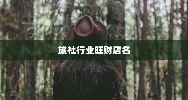 旅社行业旺财店名