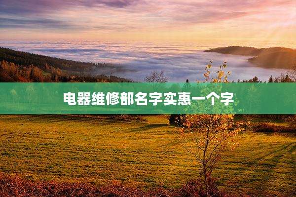 电器维修部名字实惠一个字