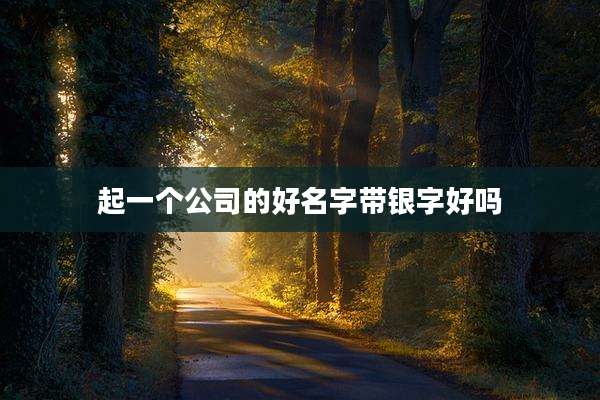 起一个公司的好名字带银字好吗
