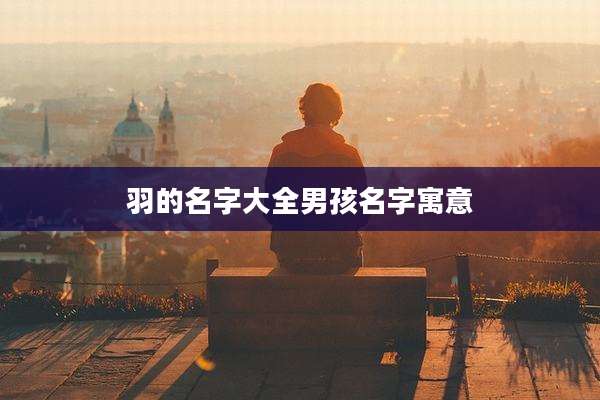 羽的名字大全男孩名字寓意