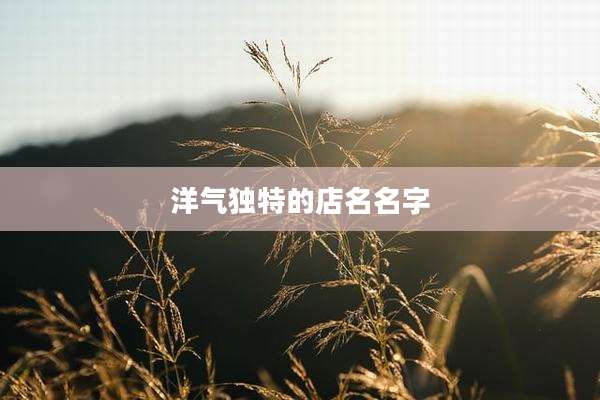 洋气独特的店名名字