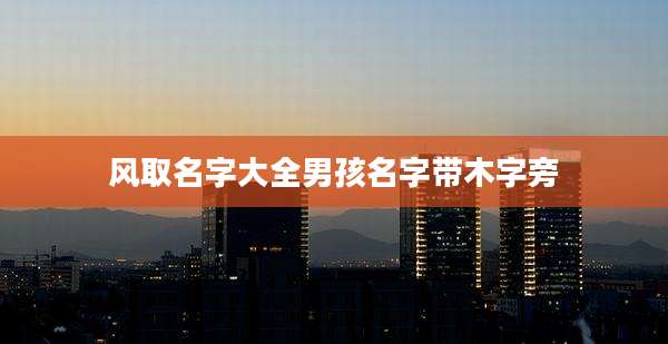 风取名字大全男孩名字带木字旁