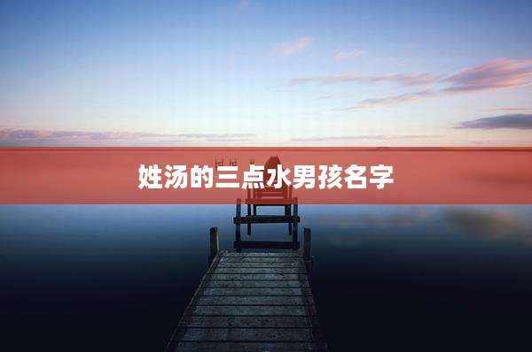 姓汤的三点水男孩名字