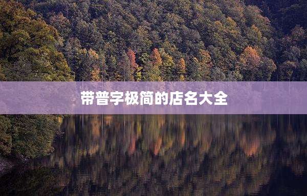 带普字极简的店名大全