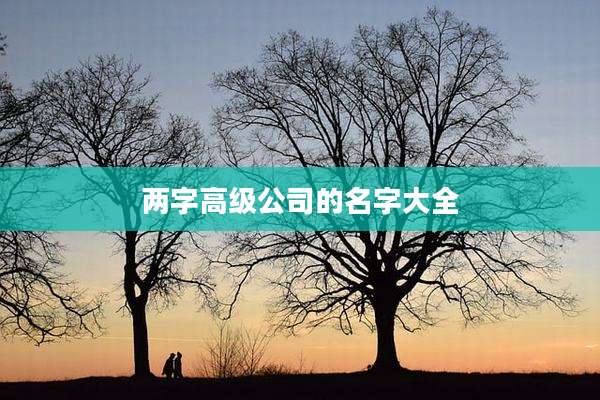 两字高级公司的名字大全