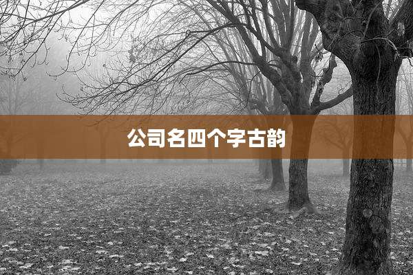公司名四个字古韵