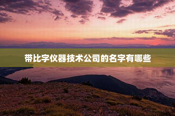 带比字仪器技术公司的名字有哪些