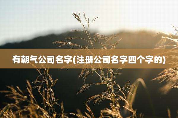 有朝气公司名字(注册公司名字四个字的)