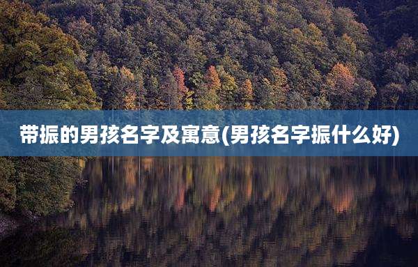 带振的男孩名字及寓意(男孩名字振什么好)