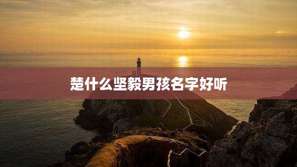 楚什么坚毅男孩名字好听