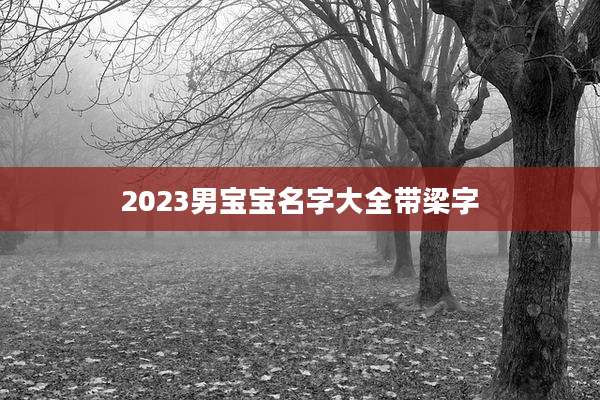 2023男宝宝名字大全带梁字