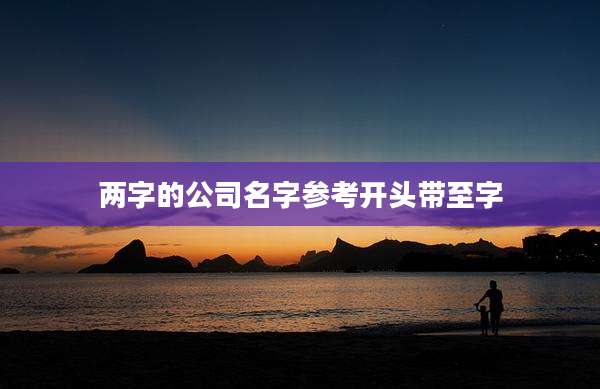 两字的公司名字参考开头带至字