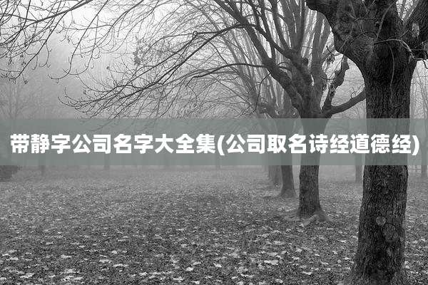 带静字公司名字大全集(公司取名诗经道德经)