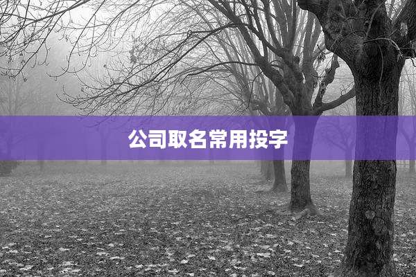 公司取名常用投字