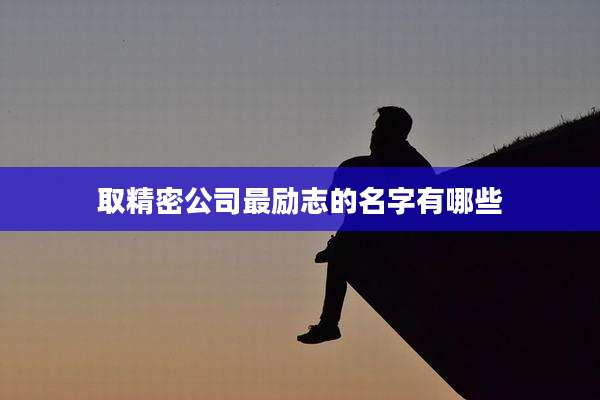 取精密公司最励志的名字有哪些