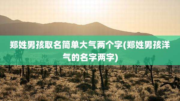 郑姓男孩取名简单大气两个字(郑姓男孩洋气的名字两字)