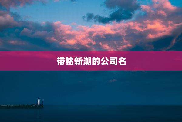 带铭新潮的公司名